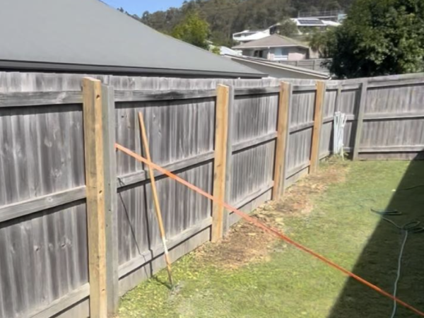 Timber Paling Fence Repair
